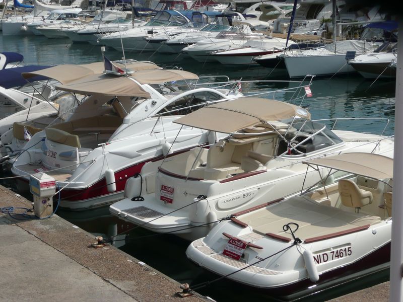 gestion-winner-mandelieu